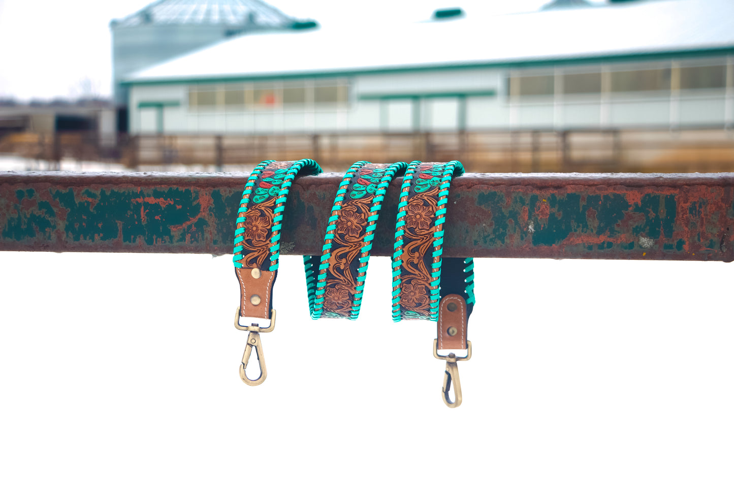 Interchangeable Purse Straps