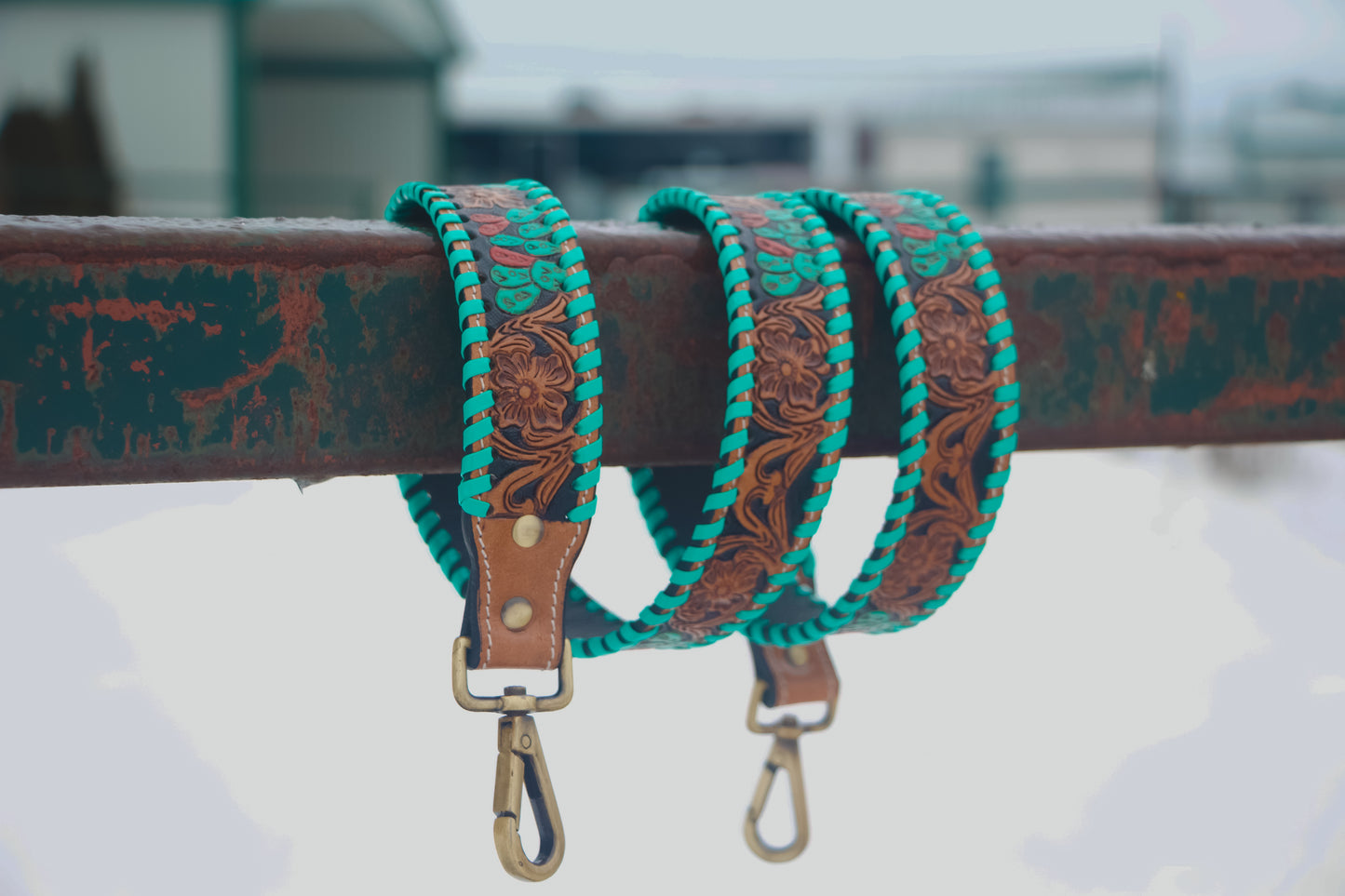 Interchangeable Purse Straps