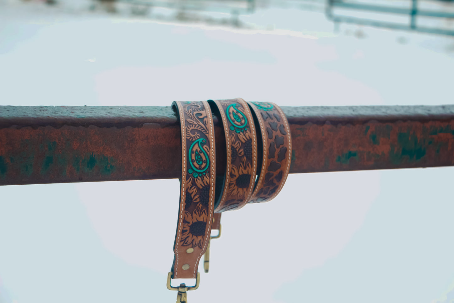 Interchangeable Purse Straps